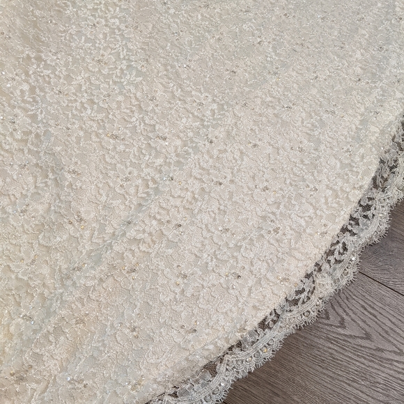 Pronovias Albeniz Tirso Wedding dress - Picture 15 of 15